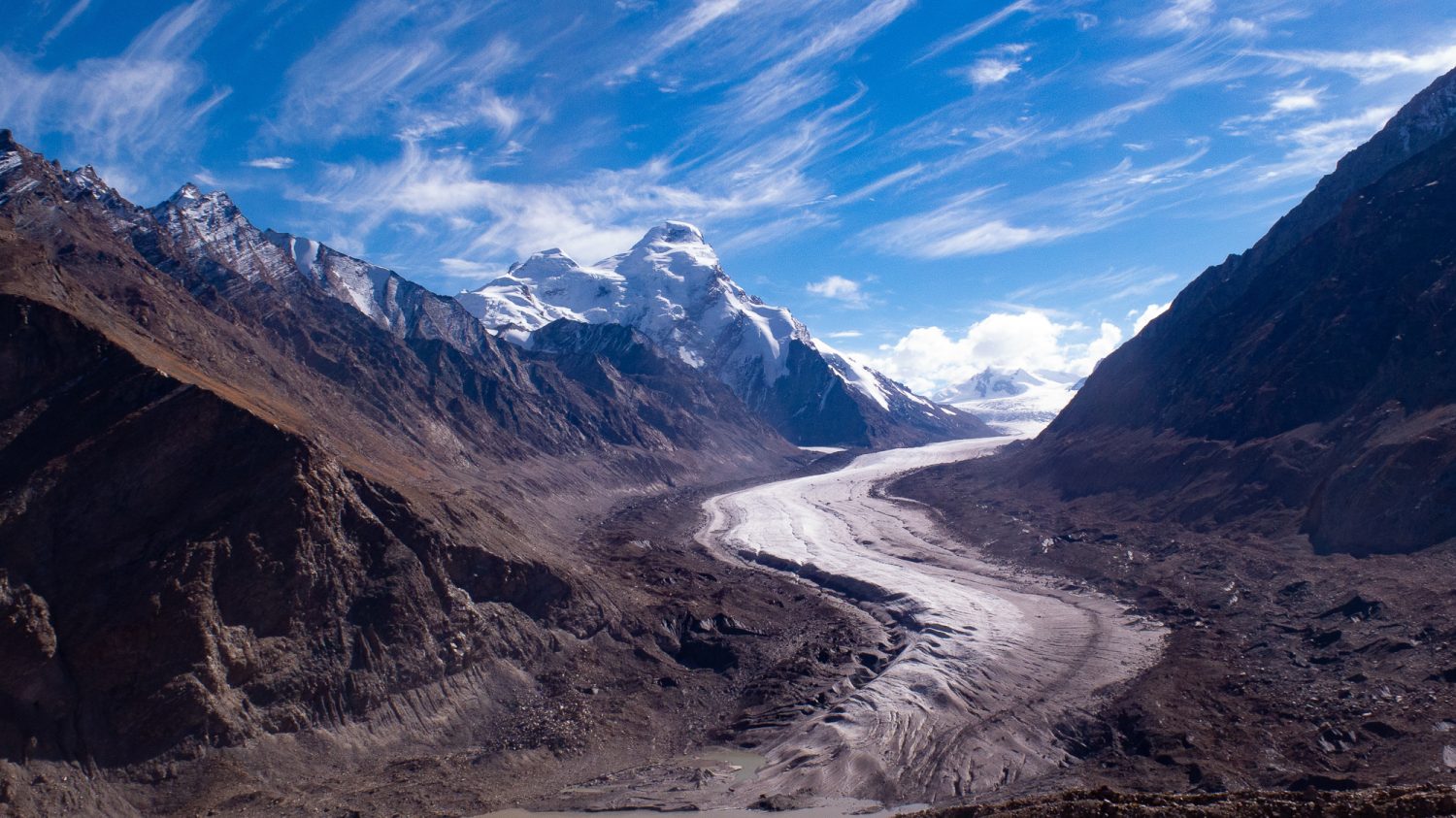 Learn, Laugh, Explore, & More - November 11, 2022