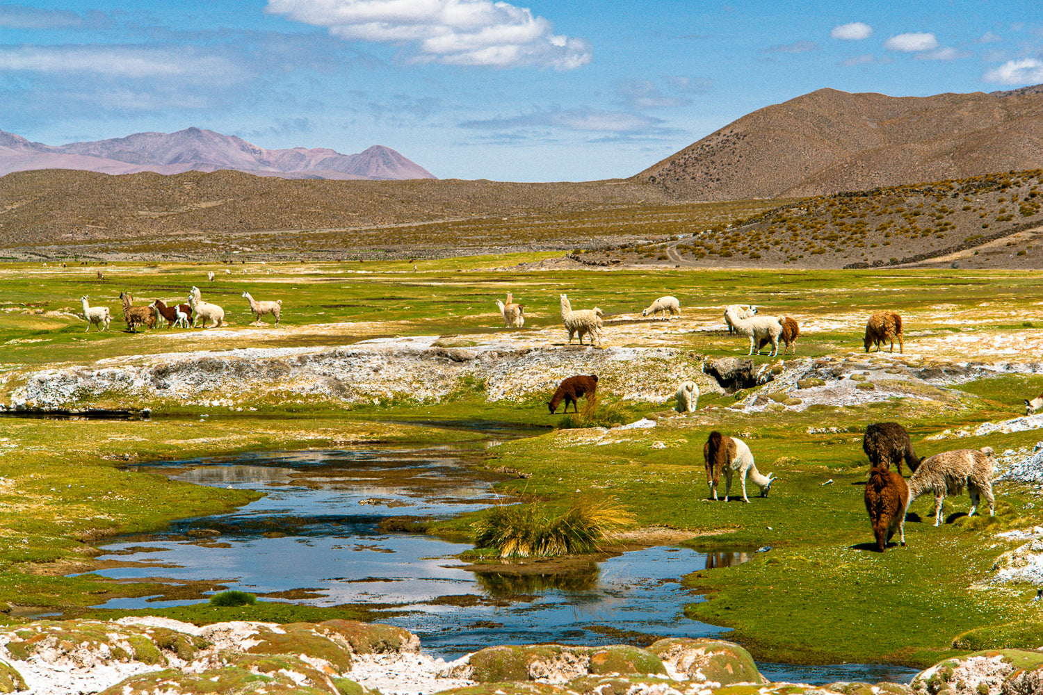 Laugh, Learn, Explore & More - October 27, 2023