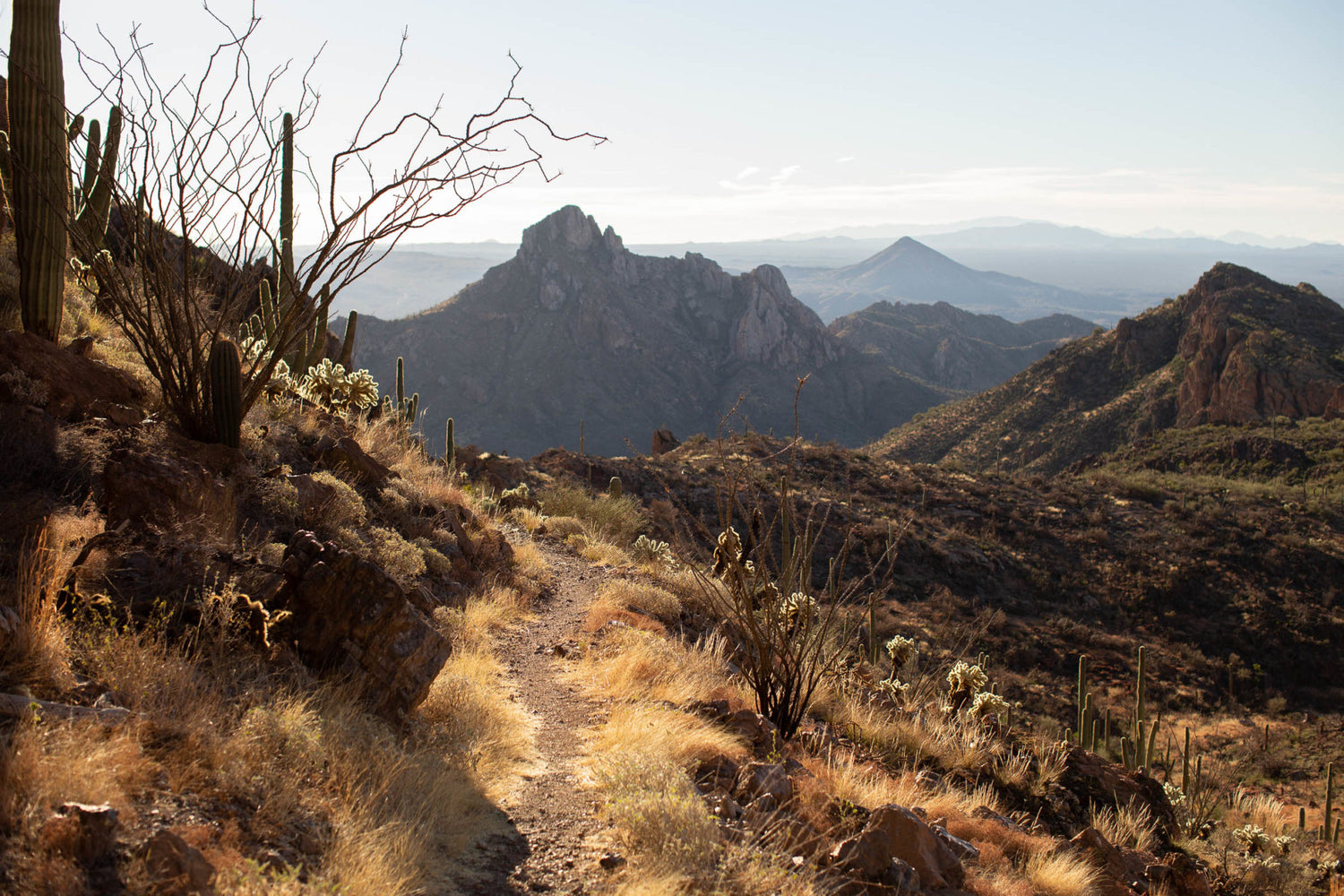 Laugh, Learn, Explore & More - March 3, 2023