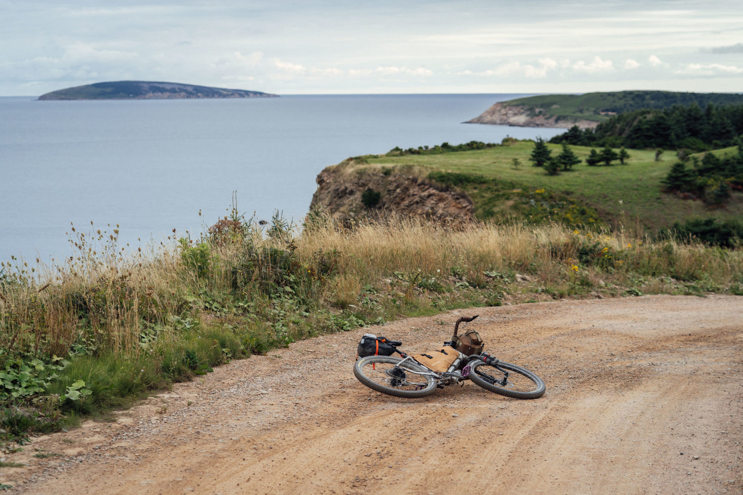 Learn, Laugh, Explore, & More - October 21, 2022