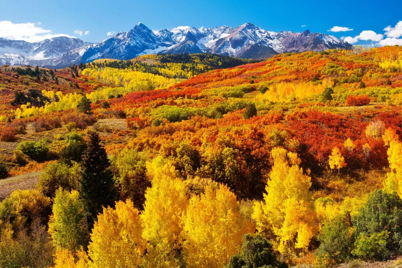 Laugh, Learn, Explore & More - November 3, 2023