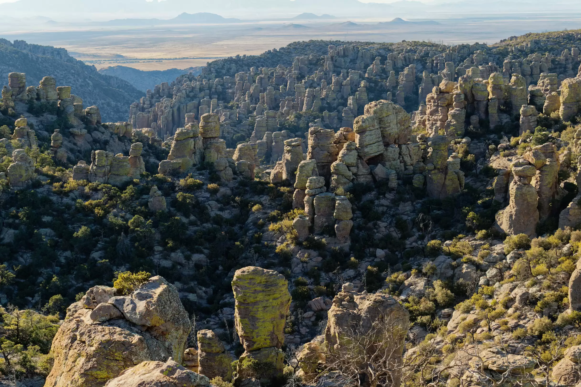 Laugh, Learn, Explore & More - August 18, 2023