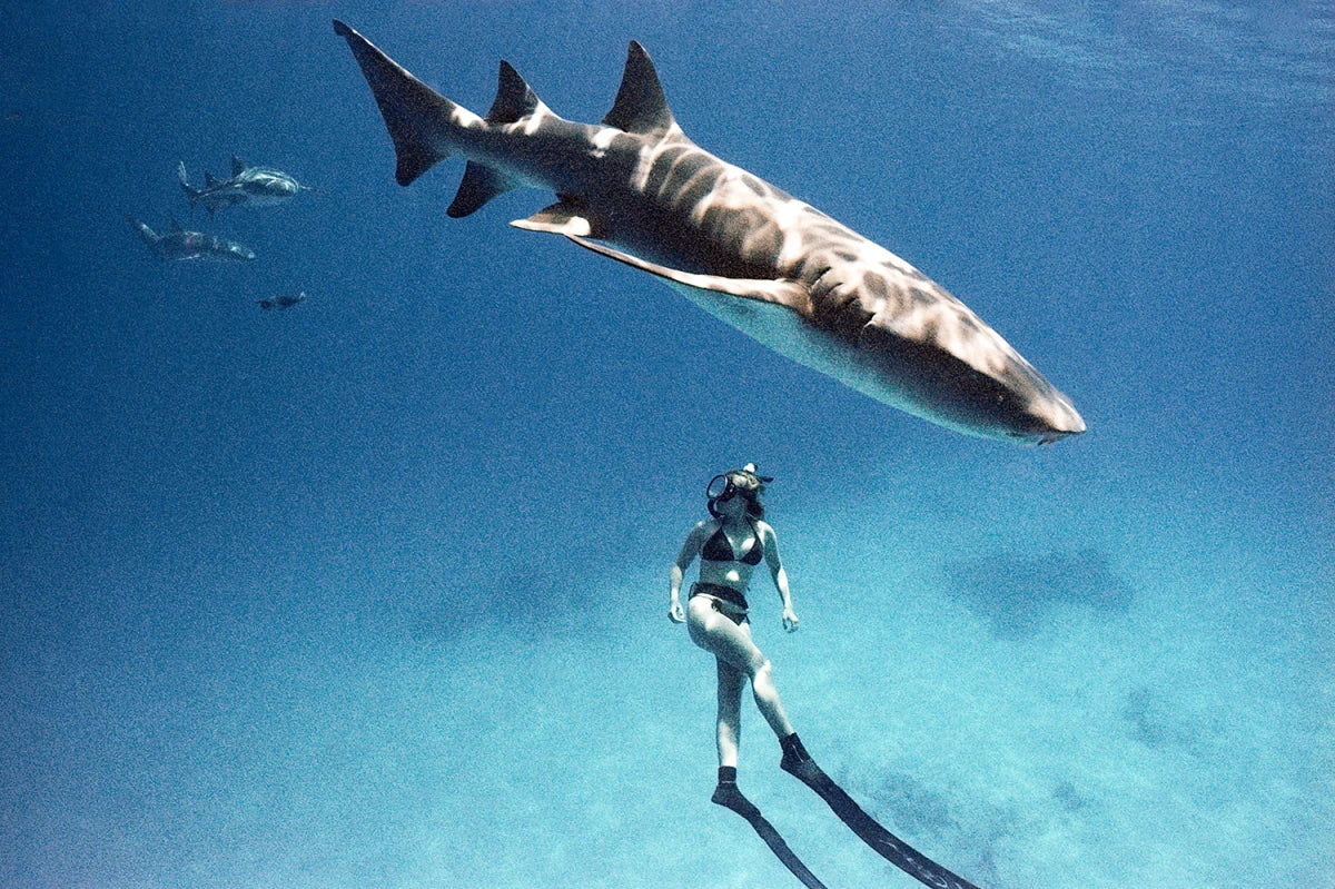 Learn, Laugh, Explore, & More - January 20, 2023