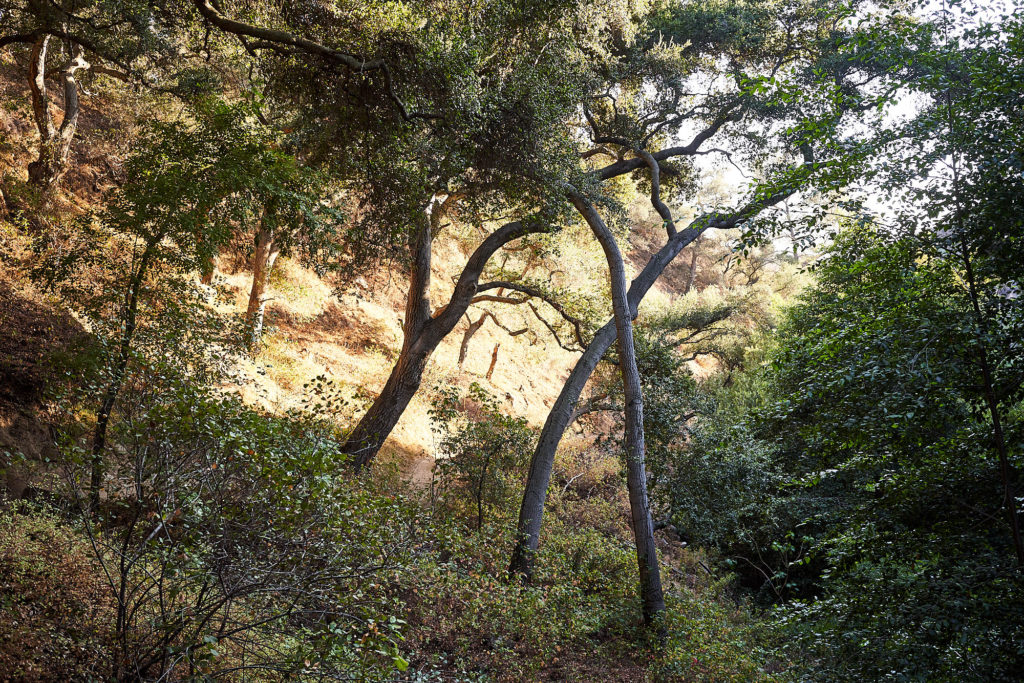 Laugh, Learn, Explore, & More - February 24, 2023