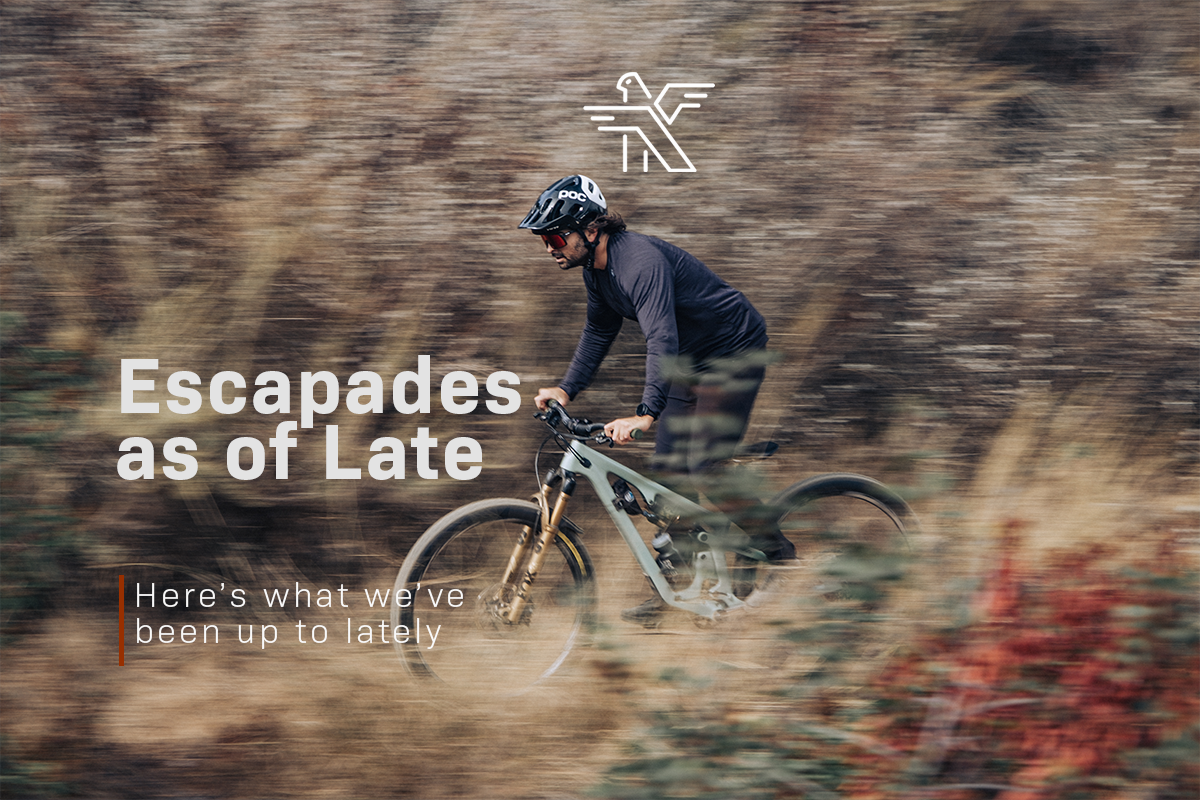 Escapades as of Late