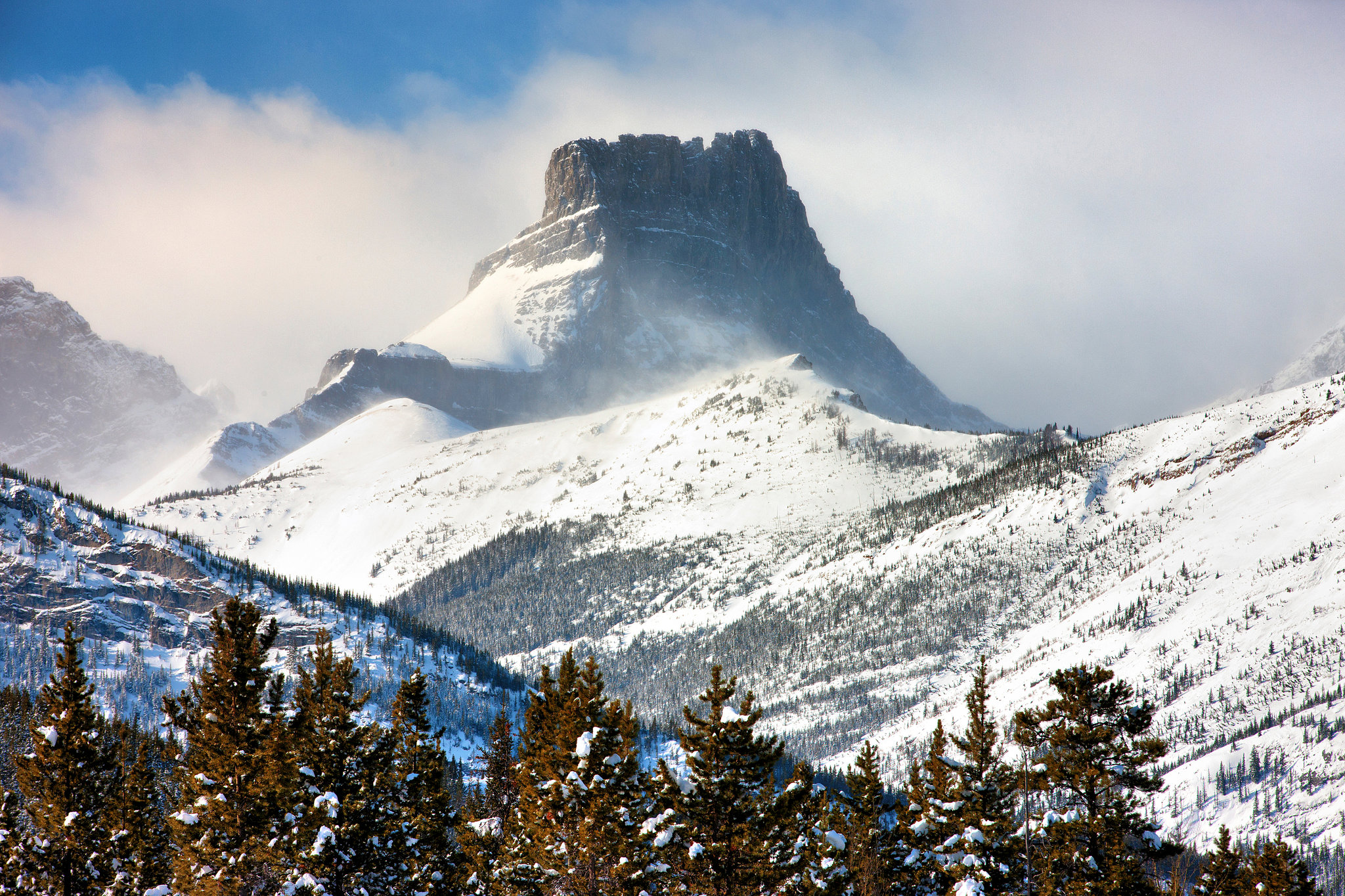 Laugh, Learn, Explore & More - January 19, 2024