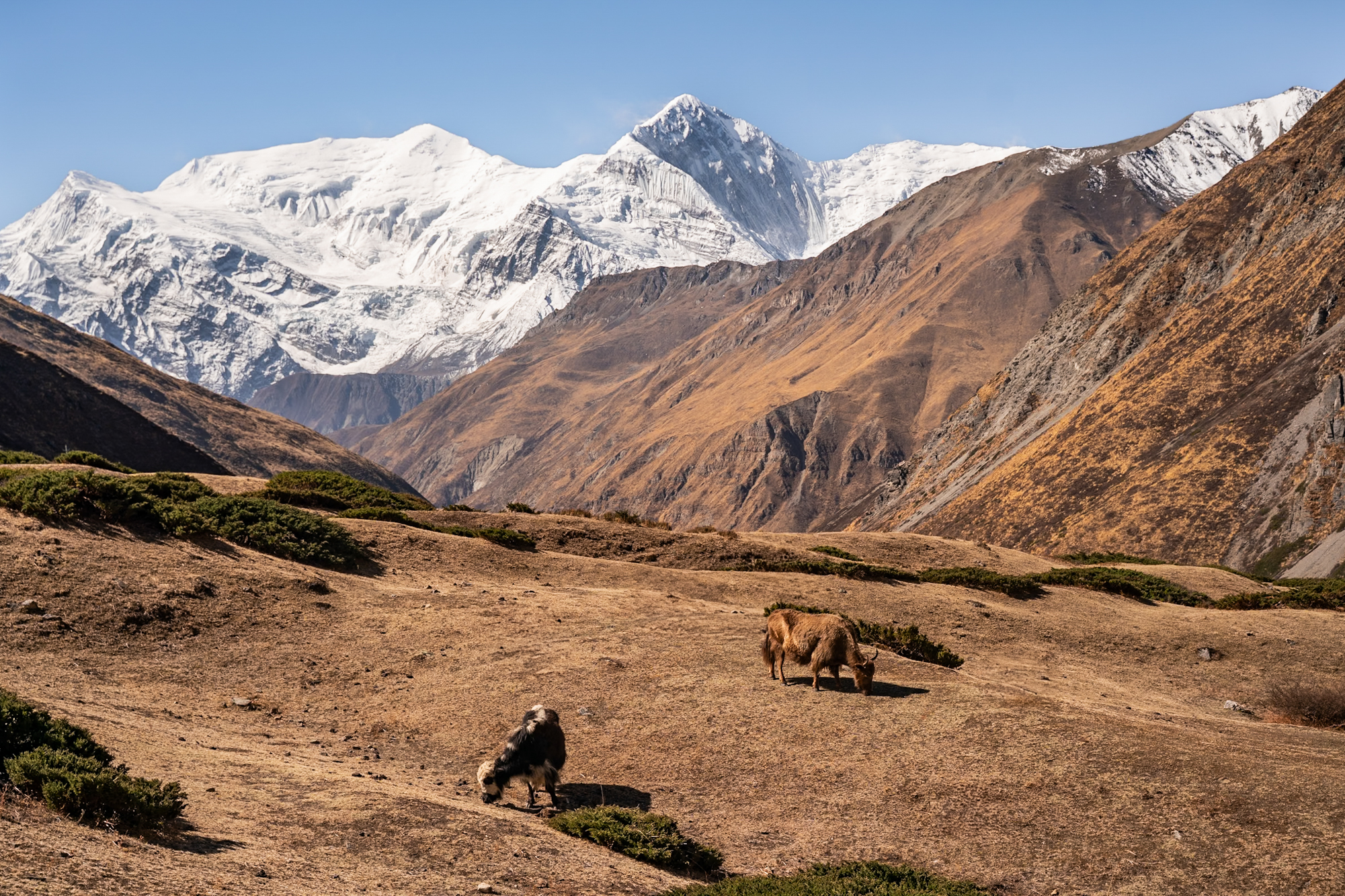 Laugh, Learn, Explore & More - September 12, 2025