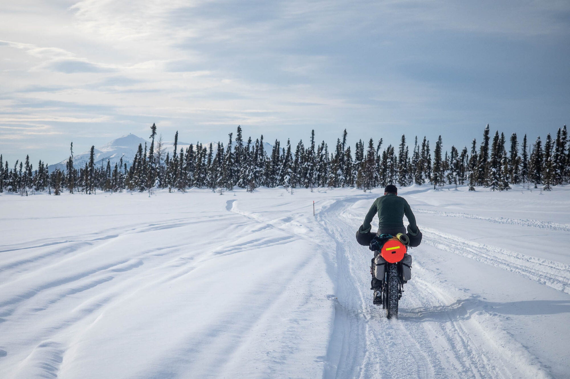 Laugh, Learn, Explore & More - March 15, 2024