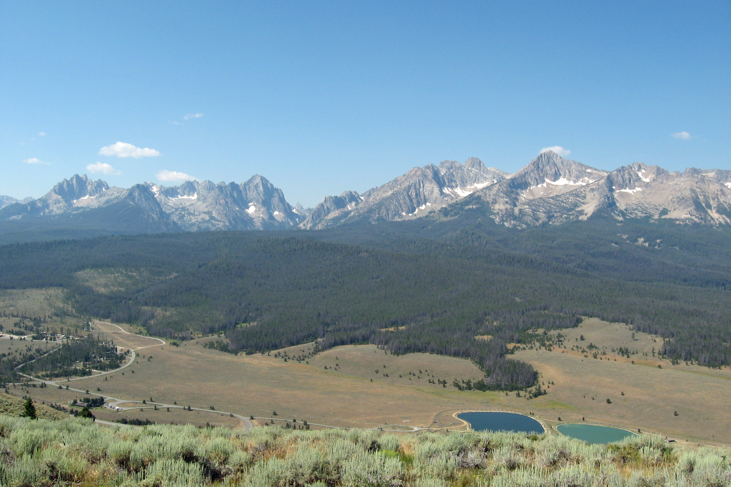 Laugh, Learn, Explore & More - July 4, 2025