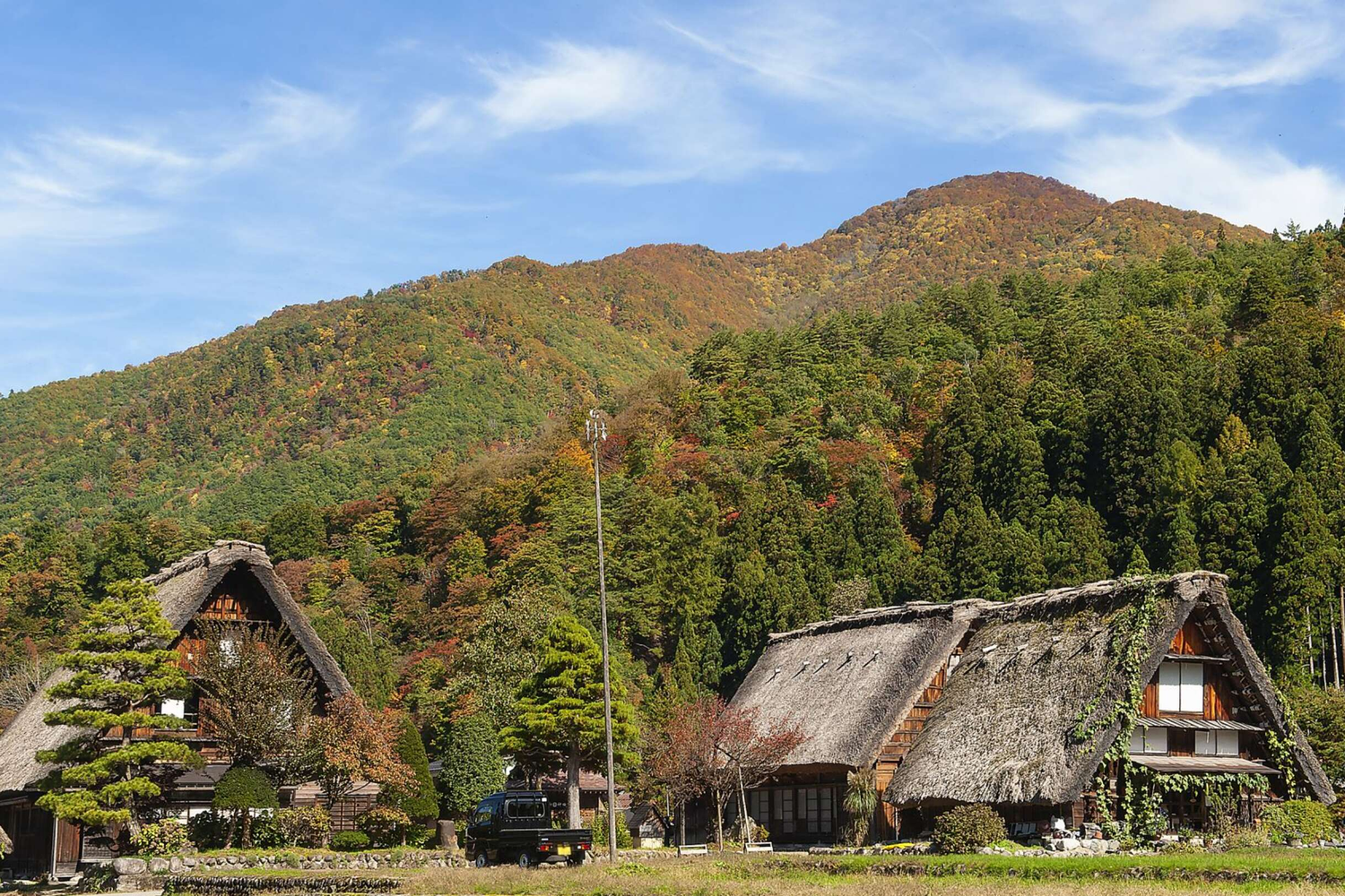 Laugh, Learn, Explore & More - July 7, 2023