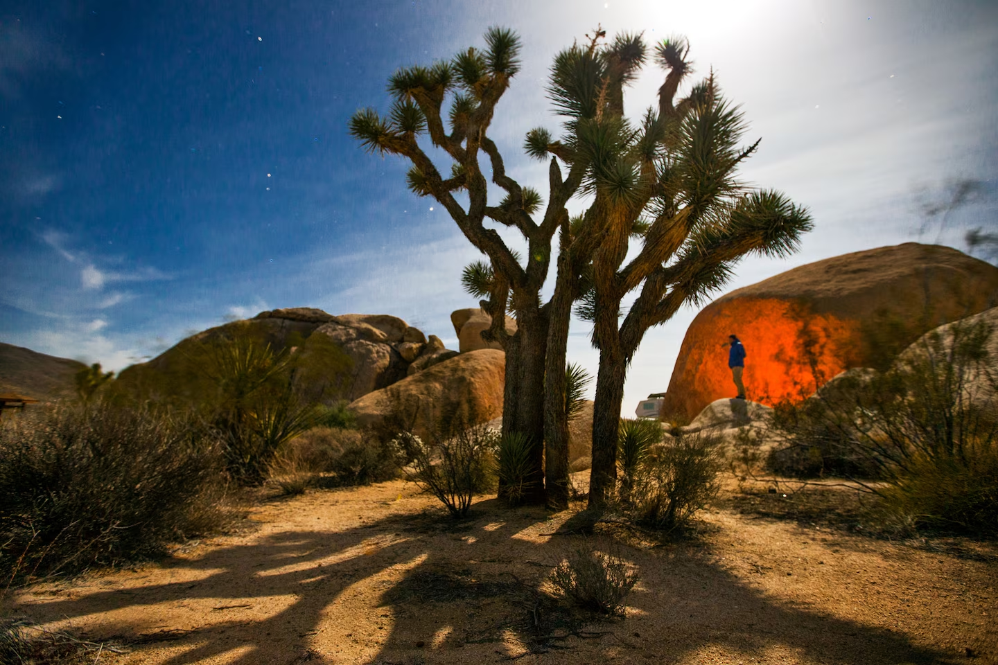 Laugh, Learn, Explore & More - April 26, 2024