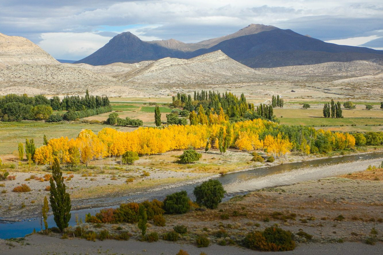 Learn, Laugh, Explore, & More - January 7, 2022