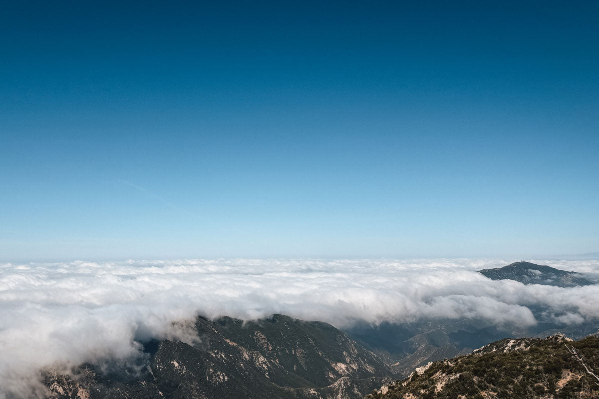 KETL Treasure Hunt Edition 6 Is Live: The Los Angeles Wildlands
