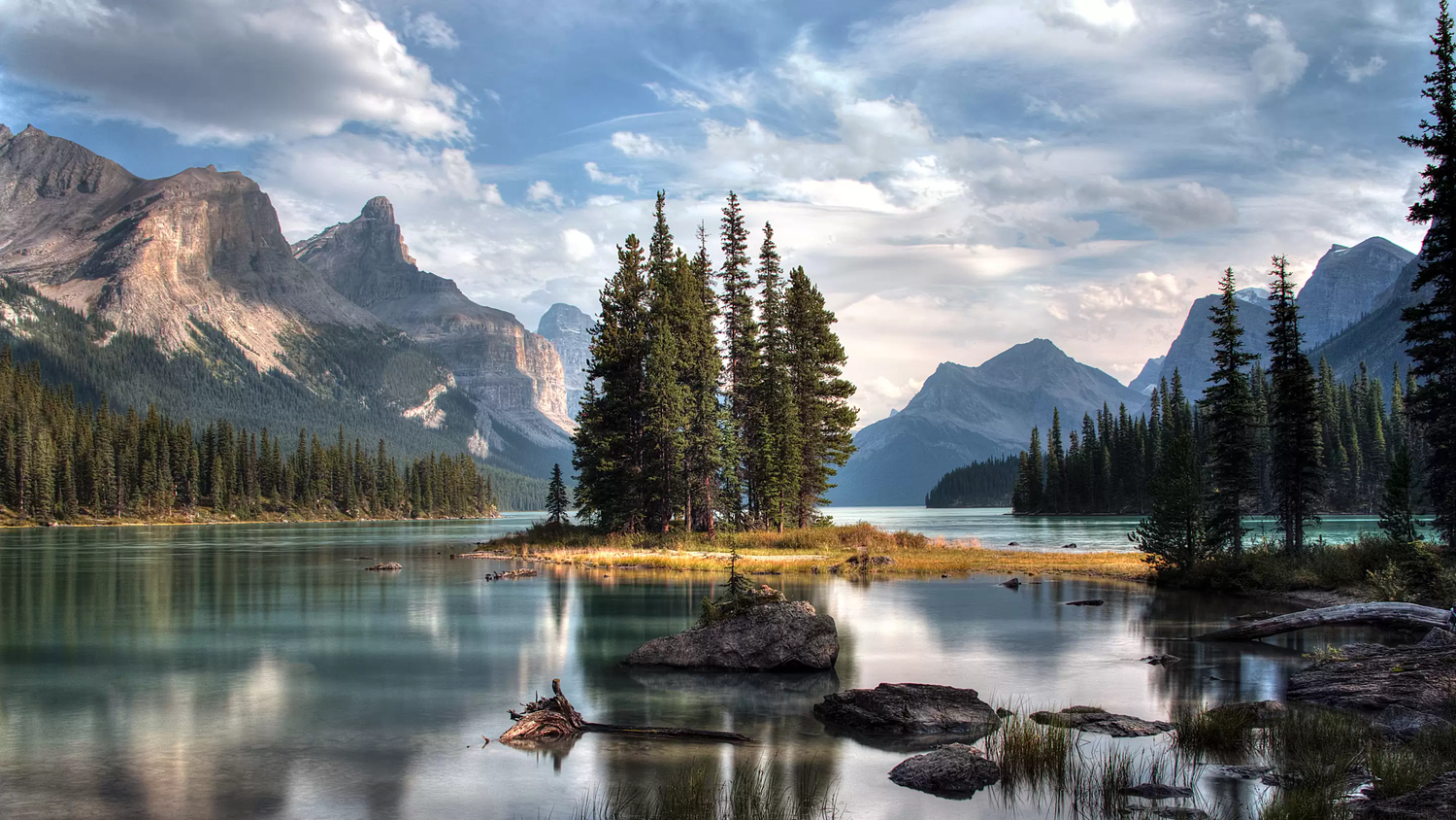 Learn, Laugh, Explore, & More - June 3, 2022