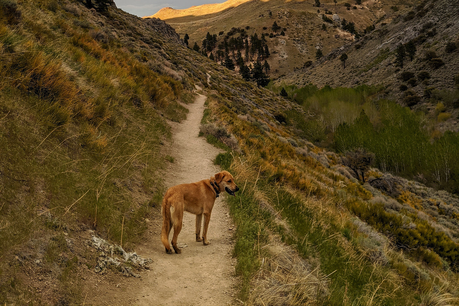 What Truly Defines Your Character?