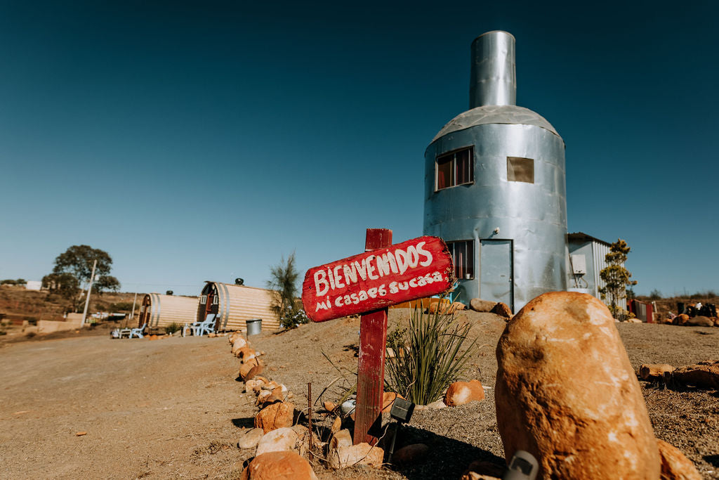 Learn, Laugh, Explore, & More - December 24, 2021