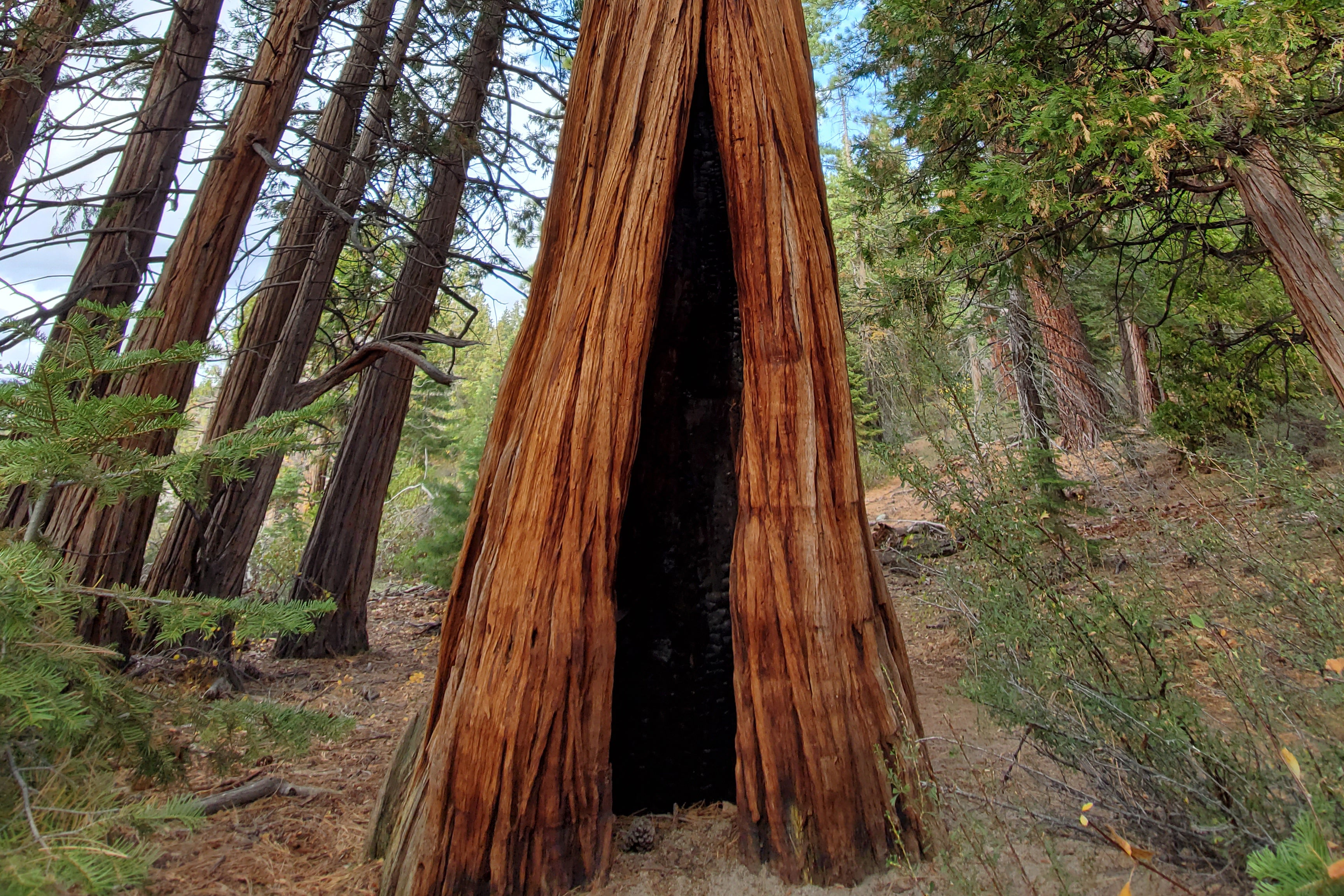 Brand Goals For KETL