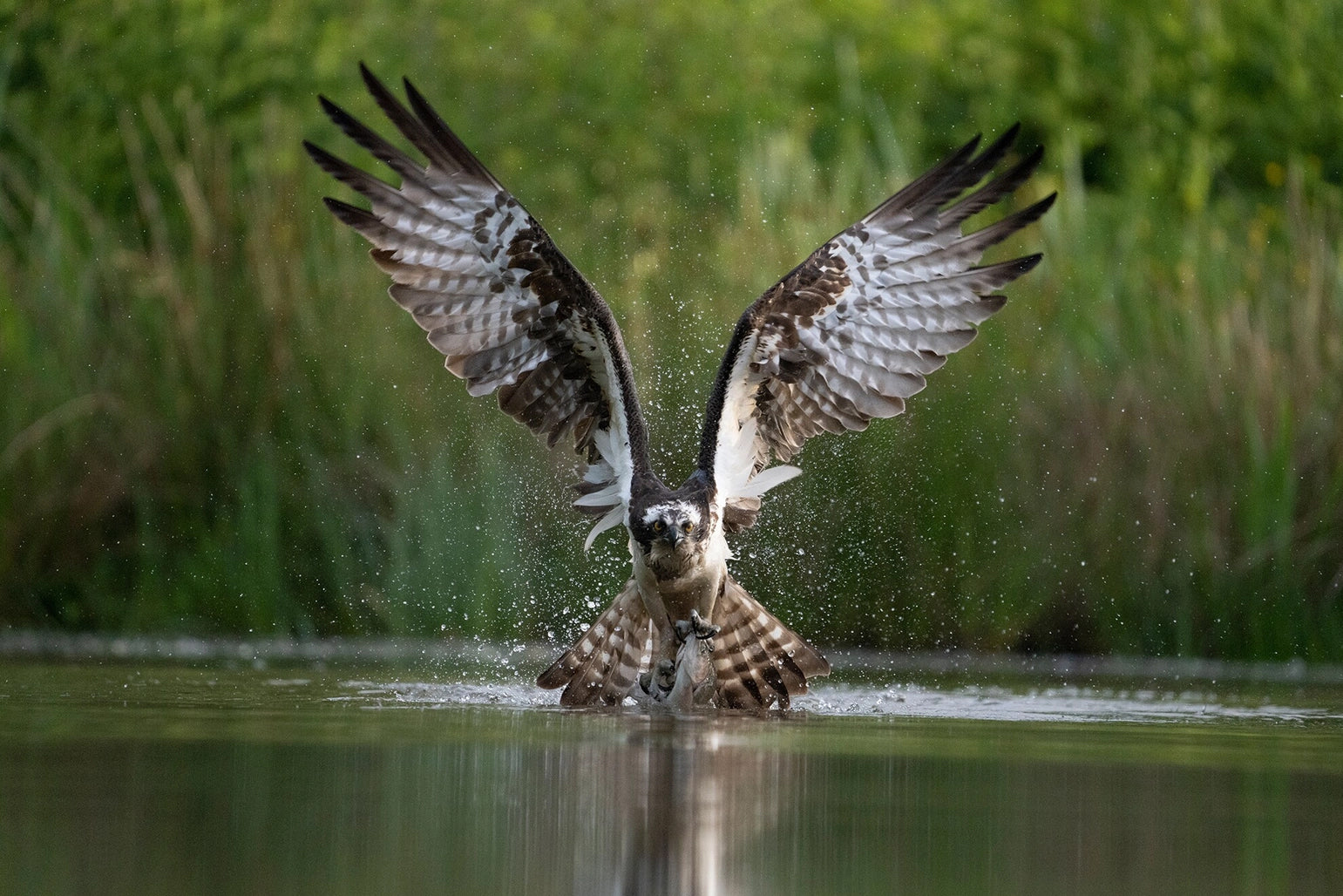 Learn, Laugh, Explore & More - October 22, 2021