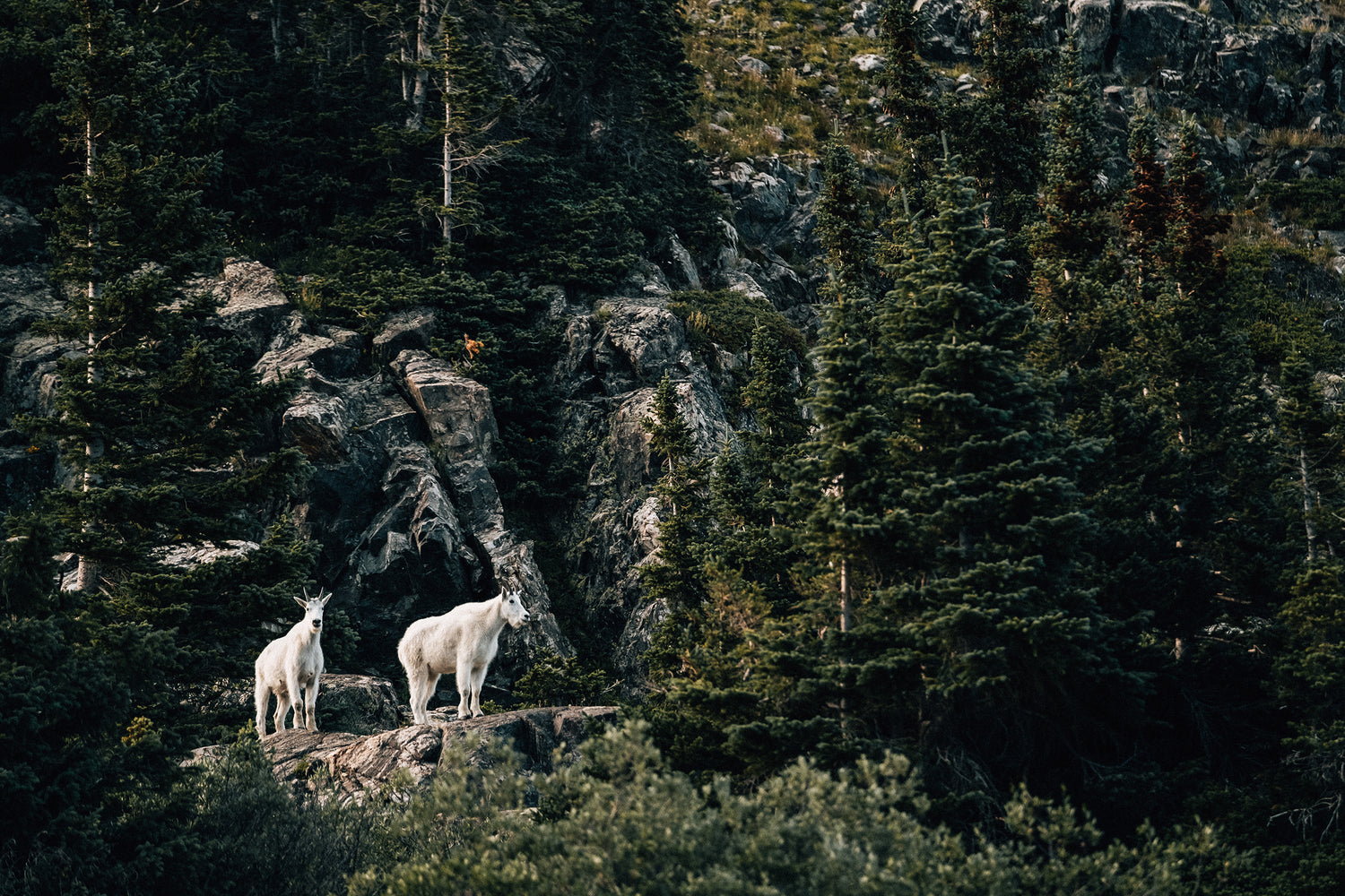 KETL Company Update September 2022