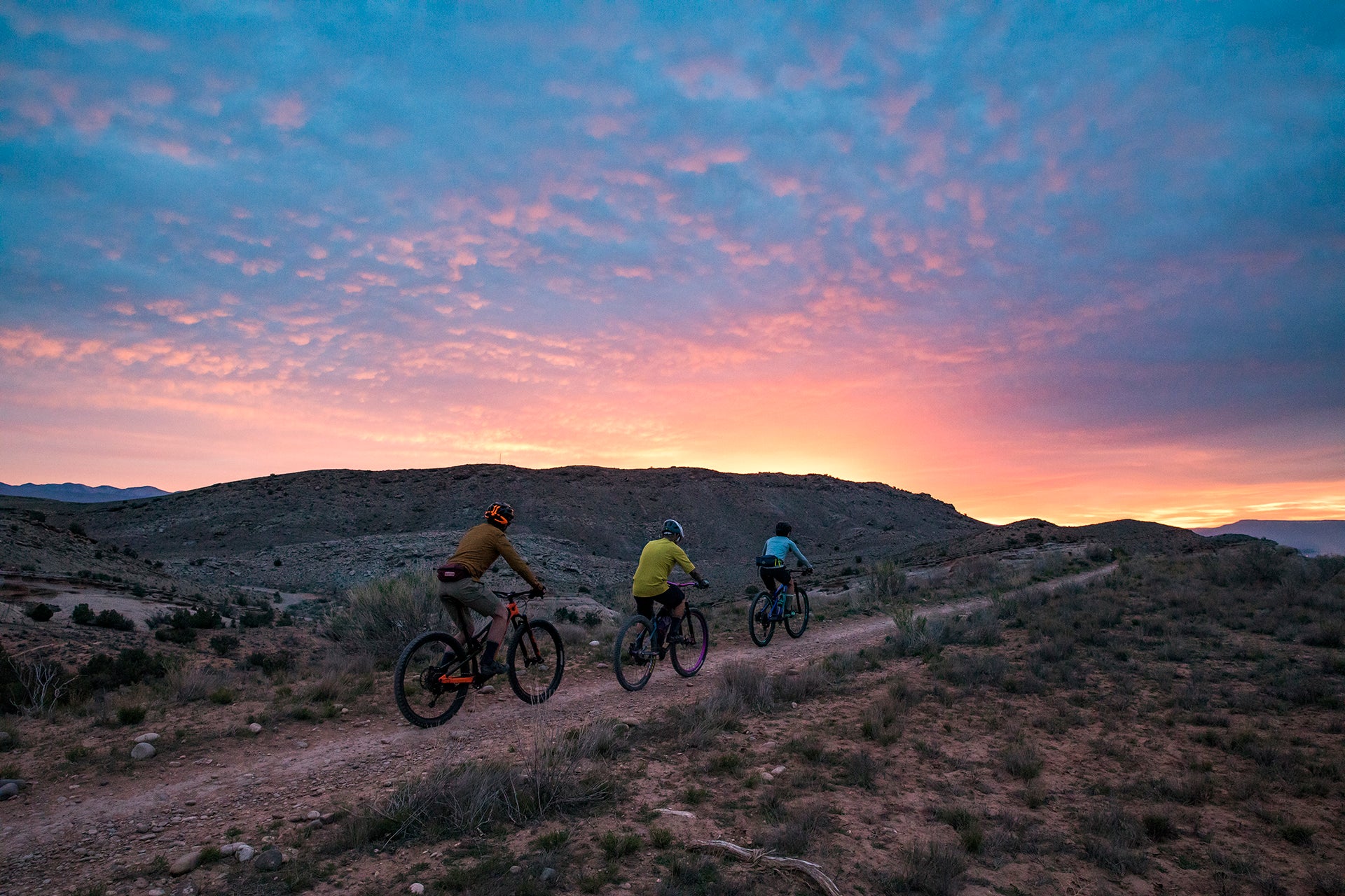 The Many Ways to Have Fun