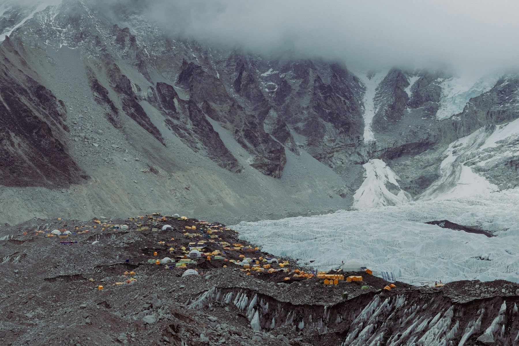 Laugh, Learn, Explore & More: April 24th, 2026