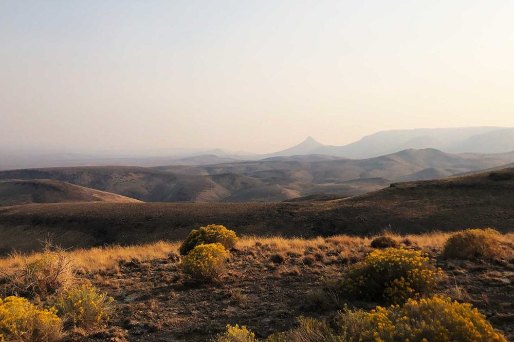 Laugh, Learn, Explore & More - December 8, 2023