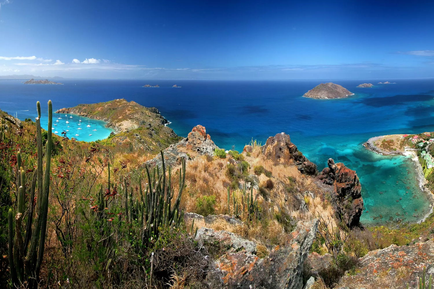 Laugh, Learn, Explore & More - December 29, 2023