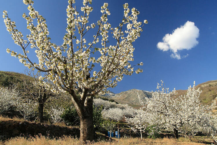 Laugh, Learn, Explore & More - April 7, 2023