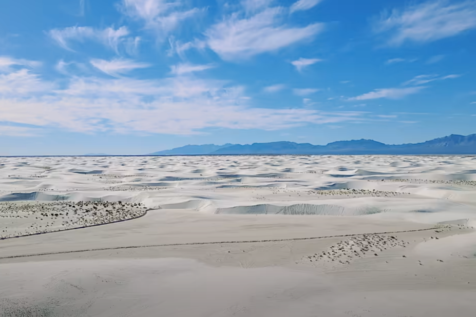 Laugh, Learn, Explore & More - August 25, 2023