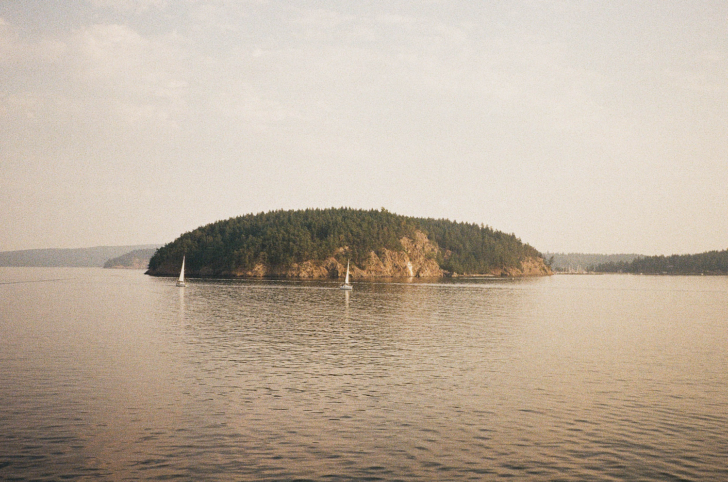 Laugh, Learn, Explore & More - December 15, 2023