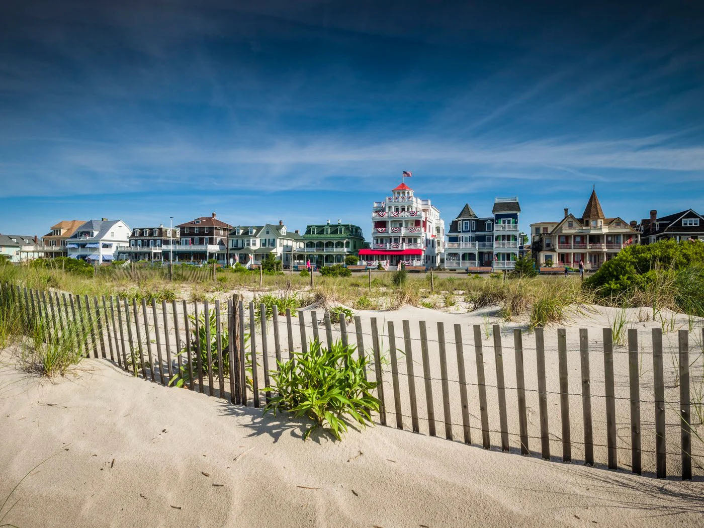 Learn, Laugh, Explore, & More - June 10, 2022