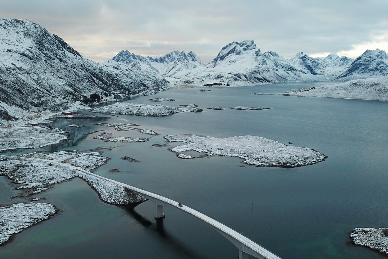 Learn, Laugh, Explore, & More - November 19, 2021