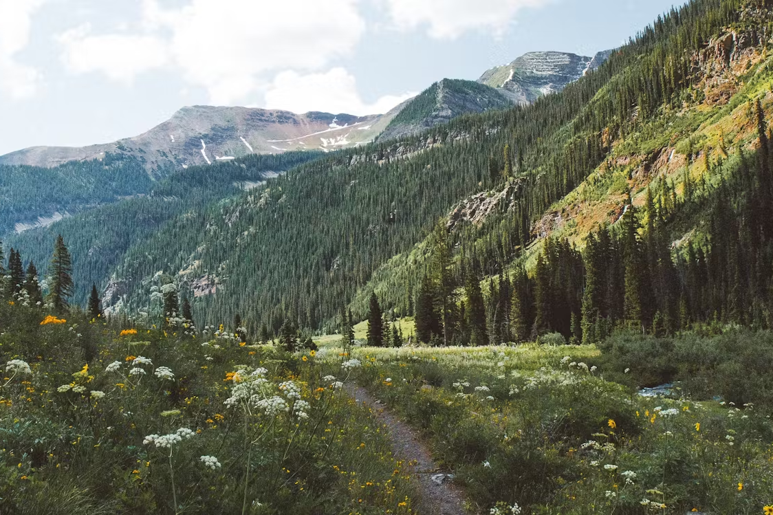 Laugh, Learn, Explore & More - May 23, 2025