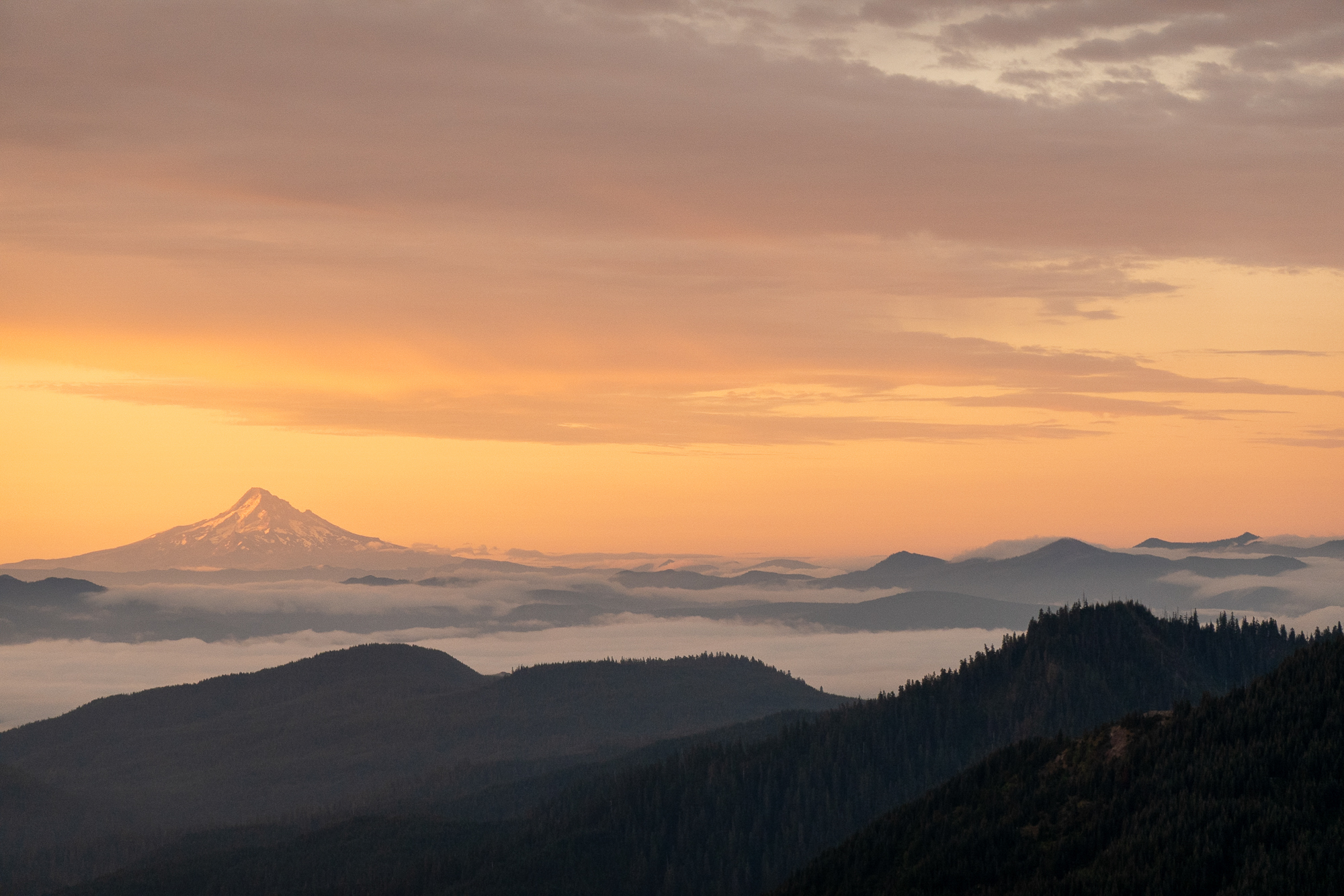 Laugh, Learn, Explore & More - October 10, 2025