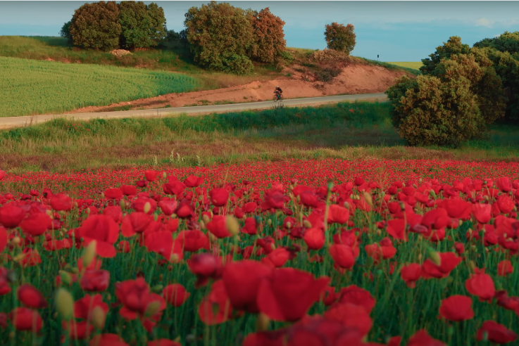 Laugh, Learn, Explore & More - August 1, 2025