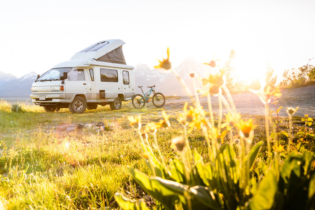 Learn, Laugh, Explore & More - November 5, 2021