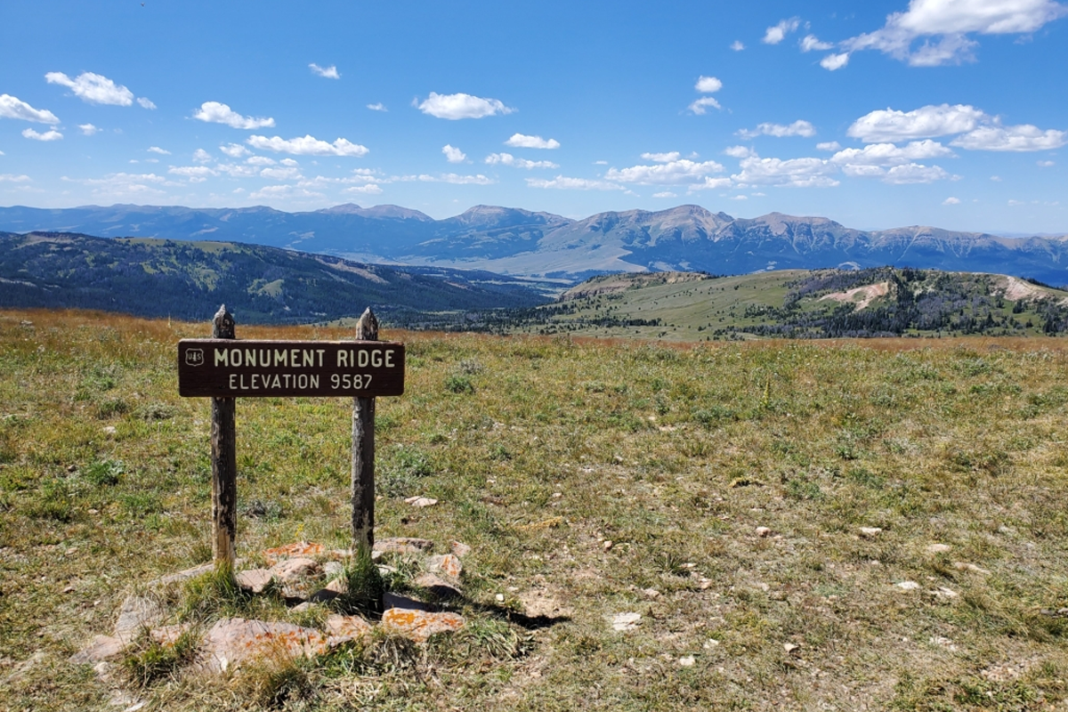 Laugh, Learn, Explore & More - November 21, 2025