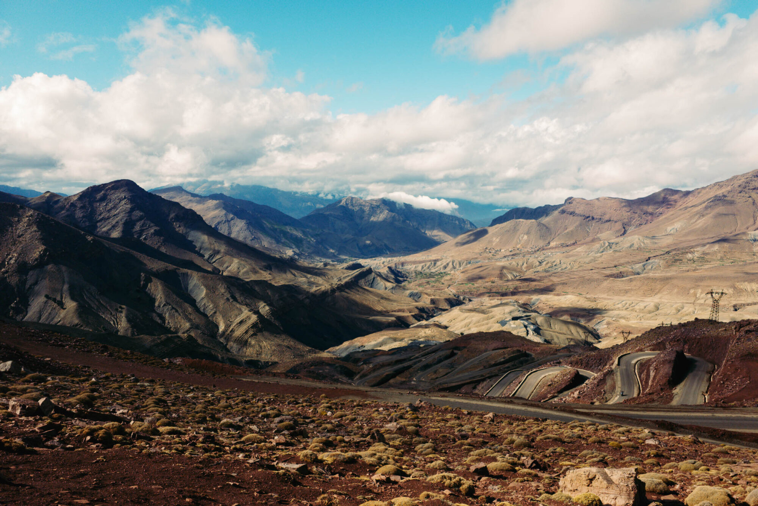 Laugh, Learn, Explore & More - January 31, 2026