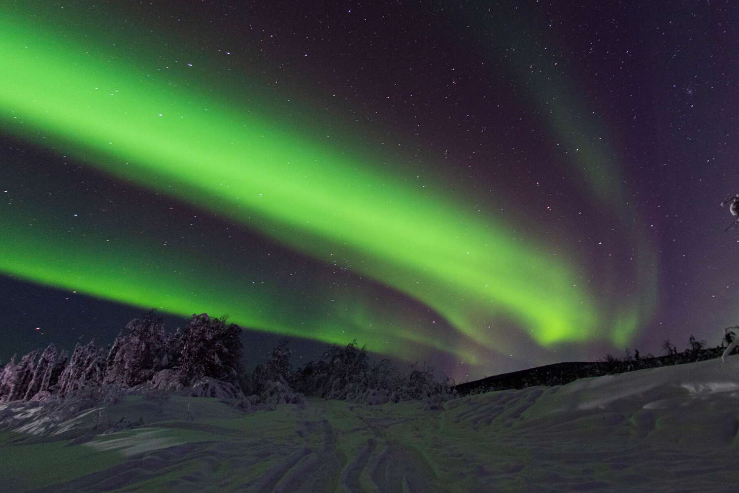 Laugh, Learn, Explore & More - June 23, 2023