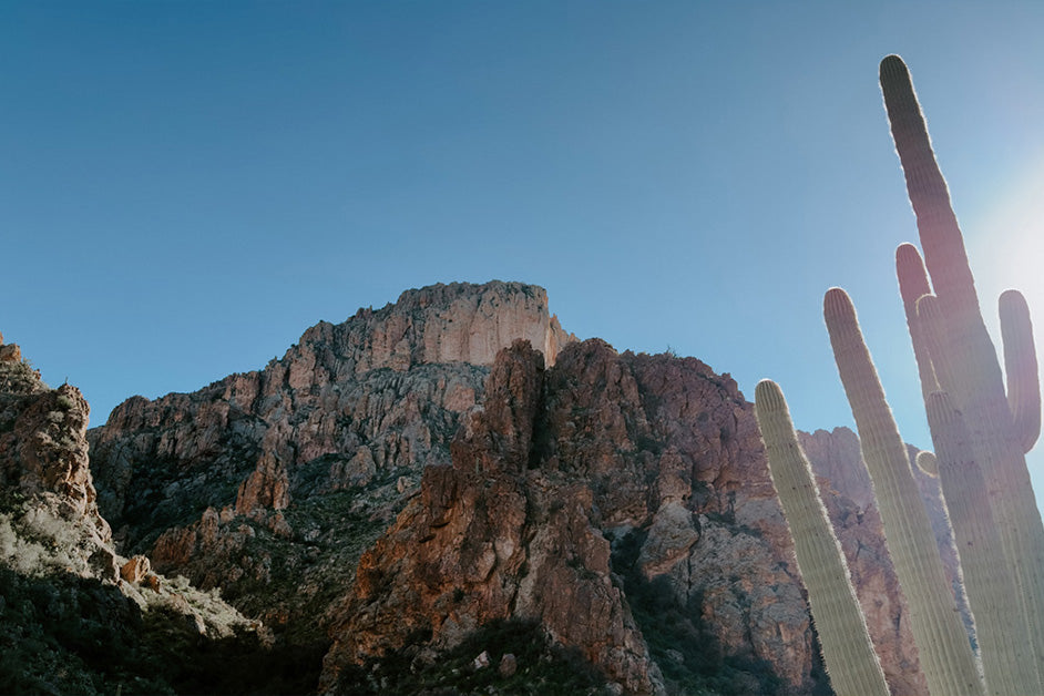 Treasure Hunt Edition 5 Is Launched!