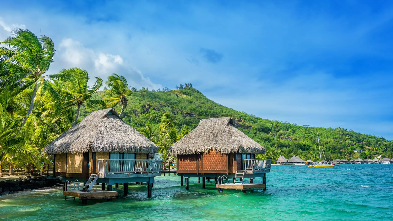 Learn, Laugh, Explore, & More - March 6, 2022