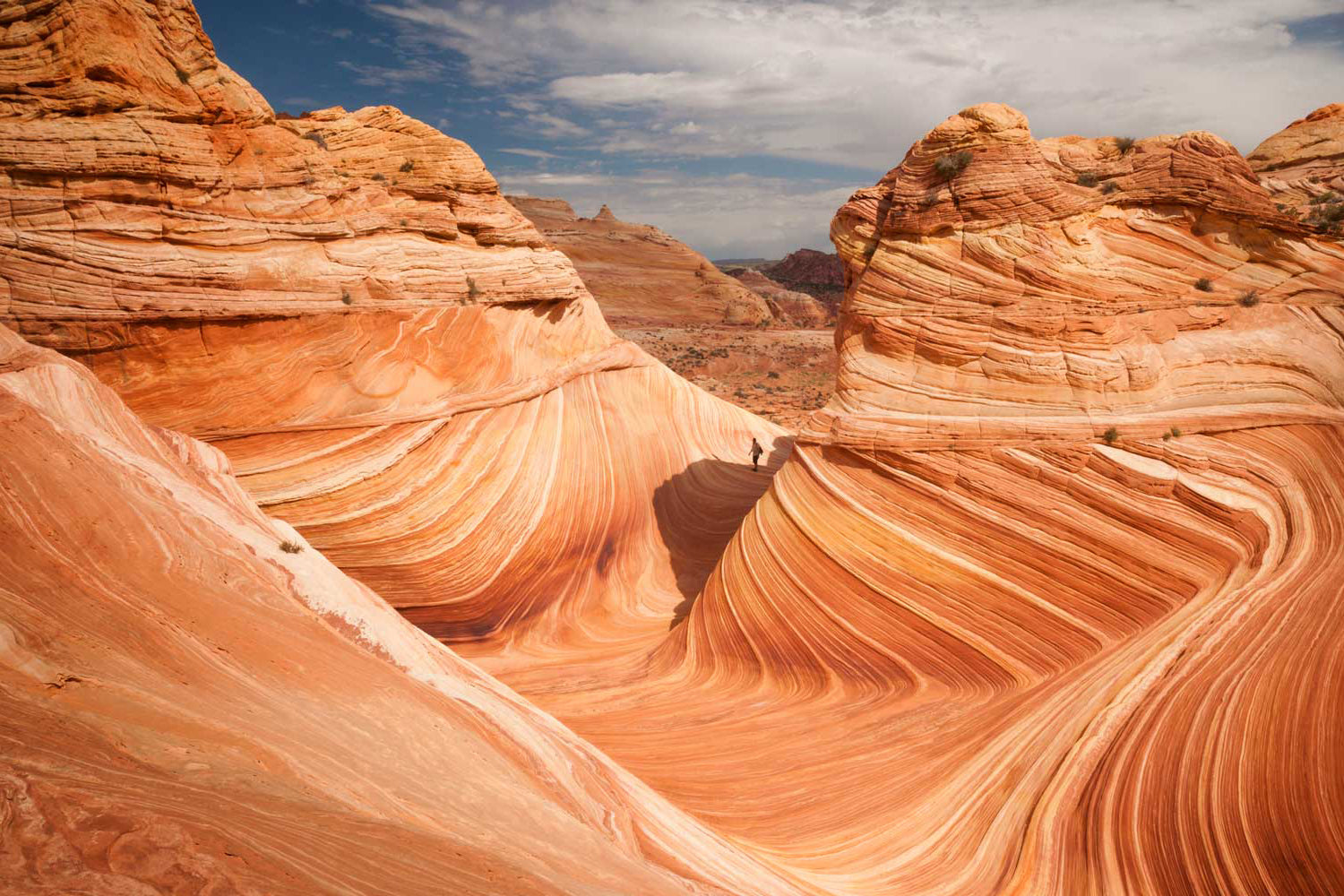 Learn, Laugh, Explore & More - October 29, 2021