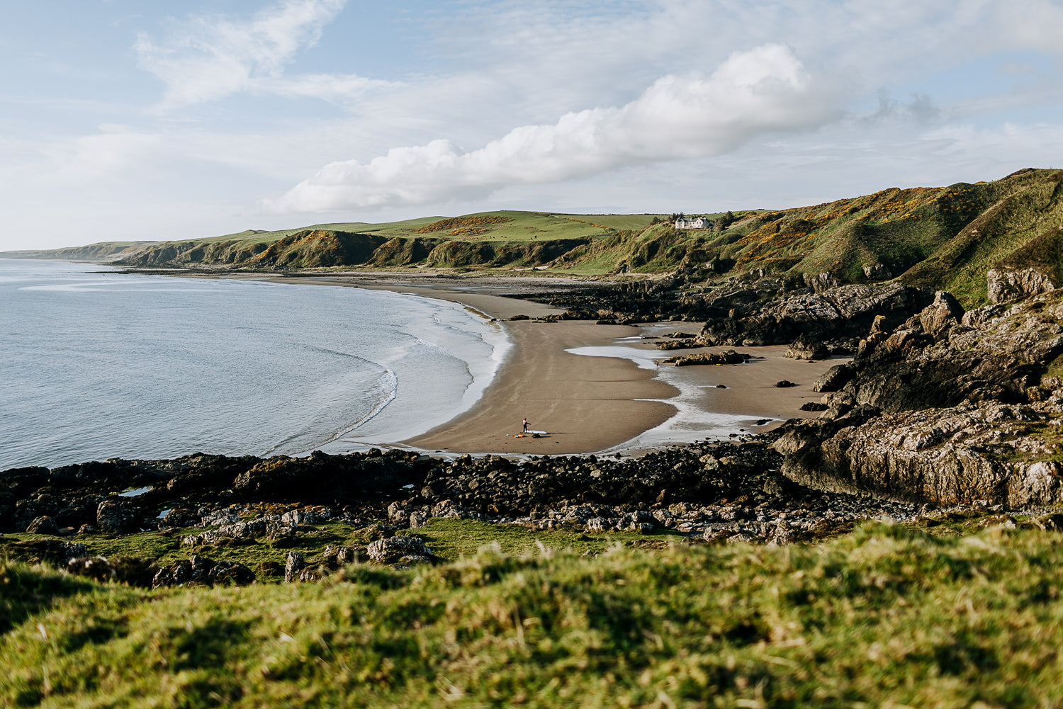 Laugh, Learn, Explore & More - May 26, 2023