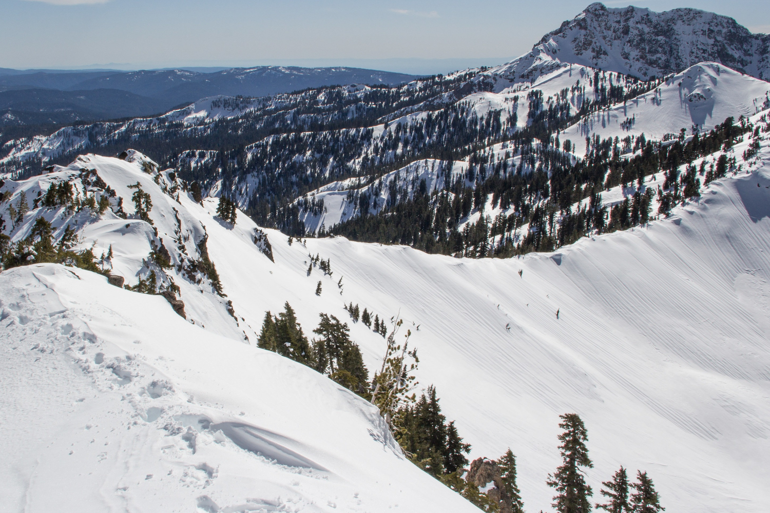 Company Update February 2023: It’s OK To Suck.