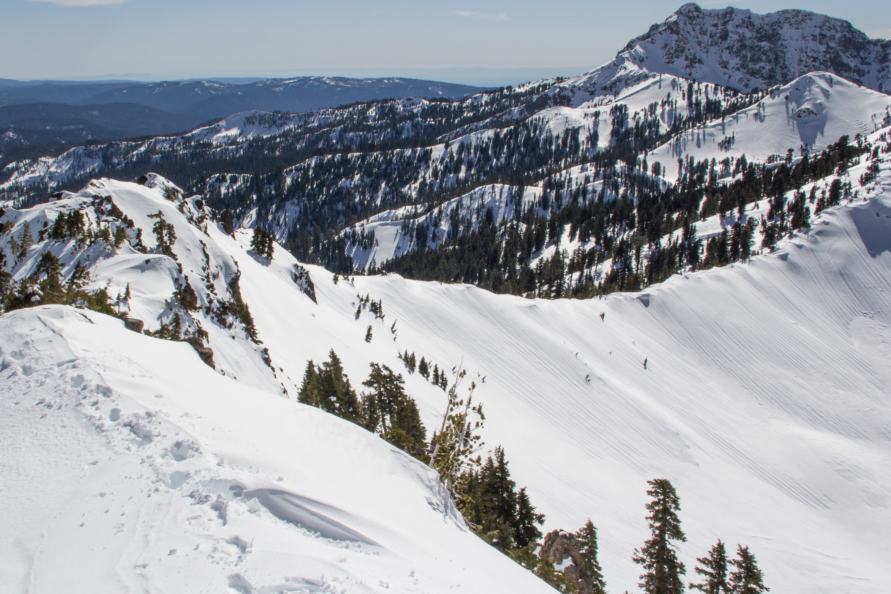 Company Update February 2023: It’s OK To Suck.