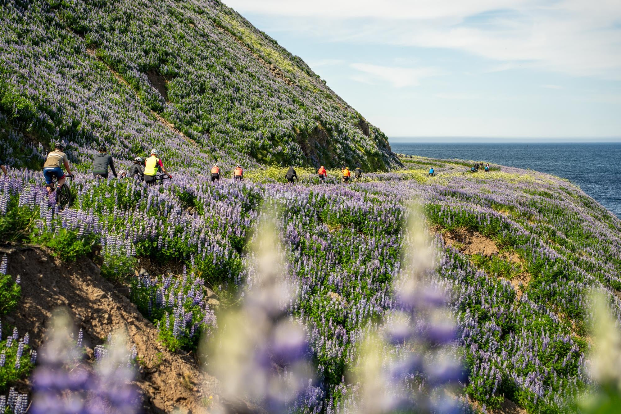 Laugh, Learn, Explore & More - August 4, 2023