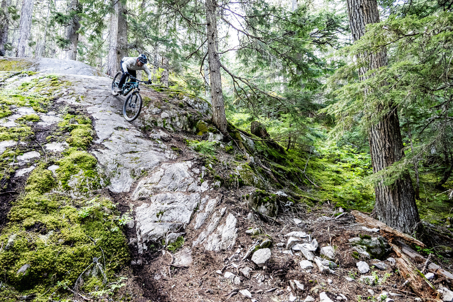 Escapades as of Late | June 2025