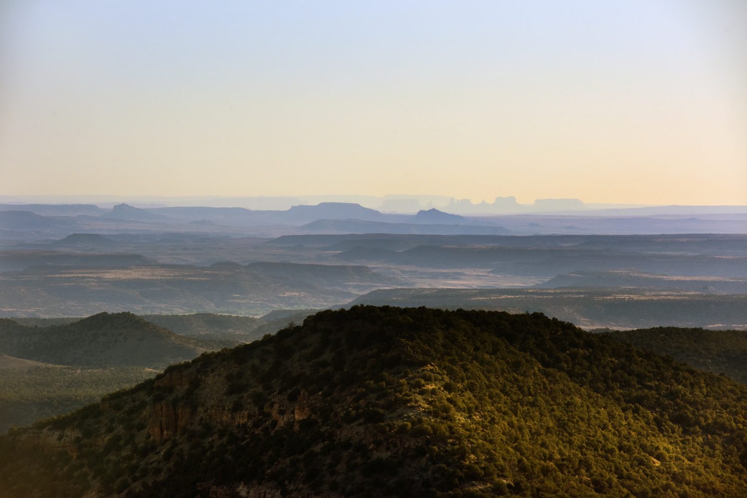 Learn, Laugh, Explore, & More - July 1, 2022