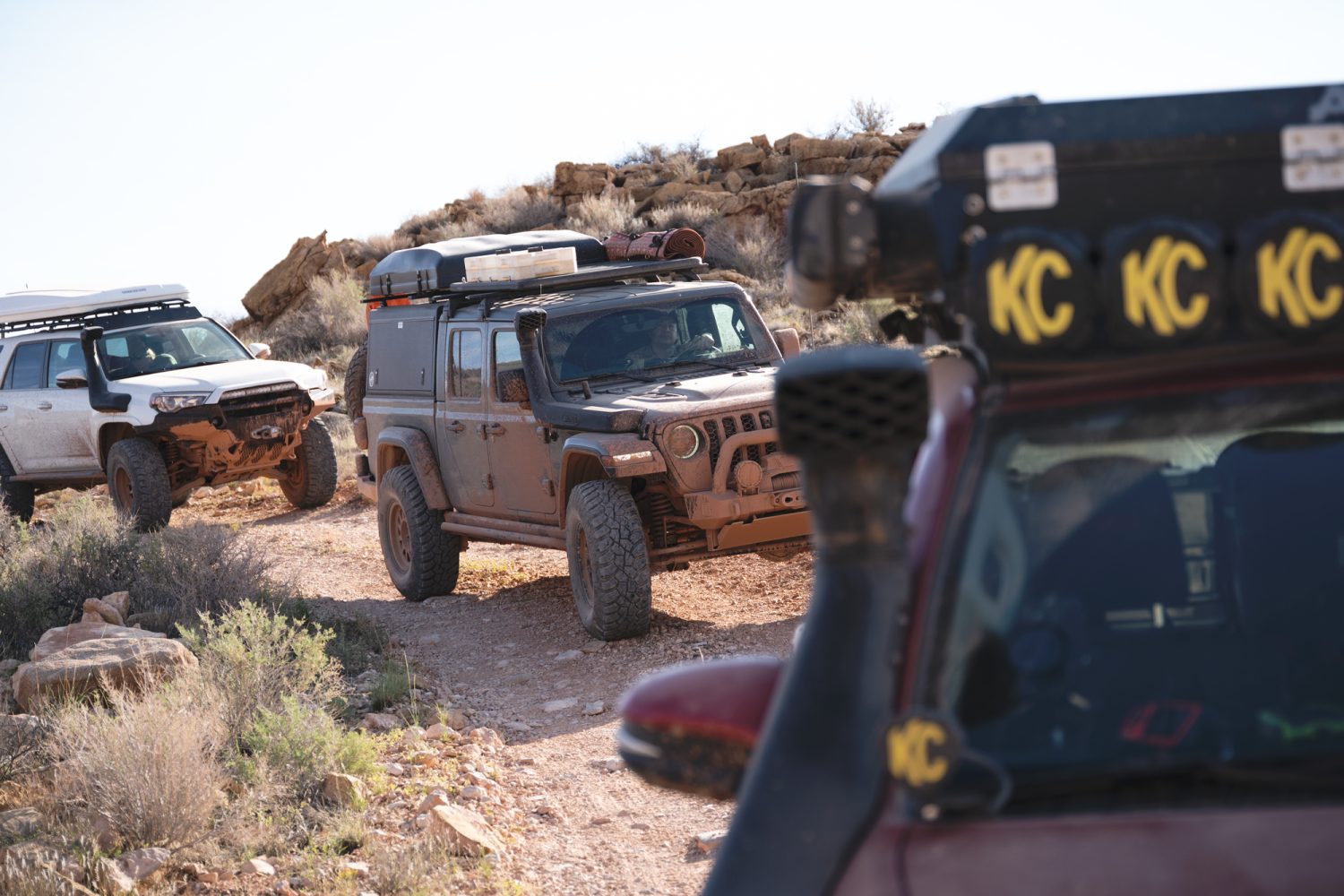 Learn, Laugh, Explore, & More - December 10, 2021