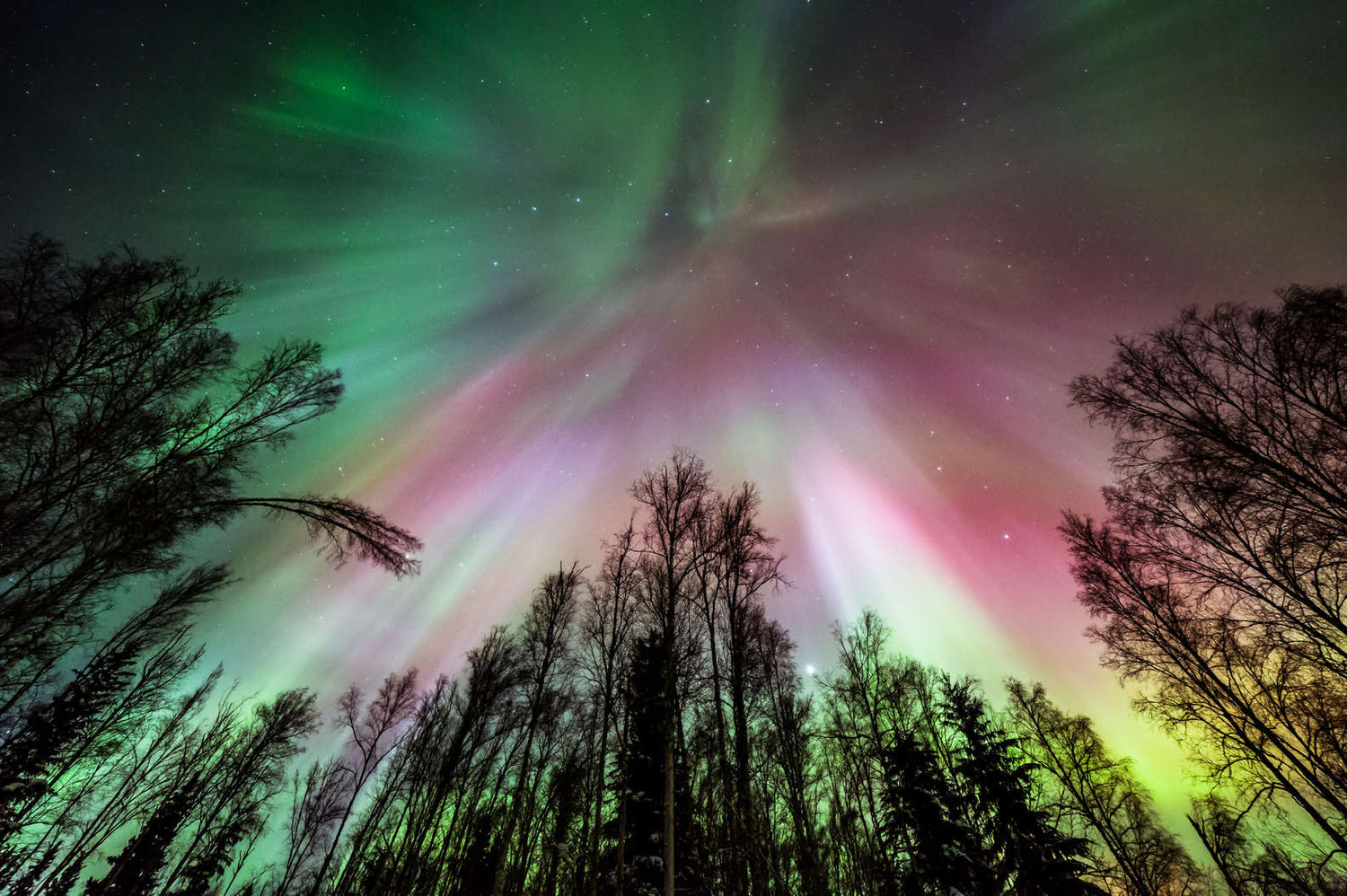 Learn, Laugh, Explore, & More - February 25, 2022